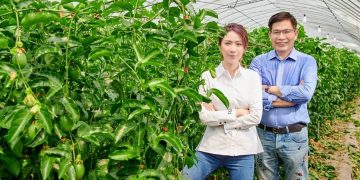 從百香果種苗到綠色保養產業 本土神農企業如何創意轉型躍上國際？
