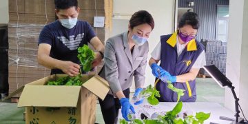百香果產業龍頭台香種苗獲國際肯定，跨足生技市場開發綠色美妝