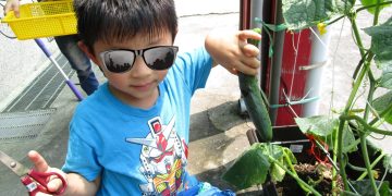 桃園市青年農業推廣協會推動食農教育 帶孩子認識食物原貌
