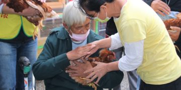 母雞醫生長濱報到！ 伊甸首間不老農場「友雞」開張