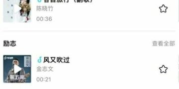 白冰冰與陳思瑋合唱的歌曲「宿命」 登上大陸抖音首頁 打開中台文化的另一種交流