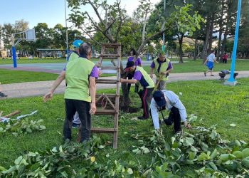 桃園市龍岡森林氣功協會串聯百人練功，打造健康有力的社區日常